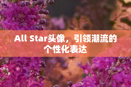All Star头像图片