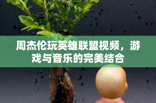 周杰伦玩英雄联盟视频图片