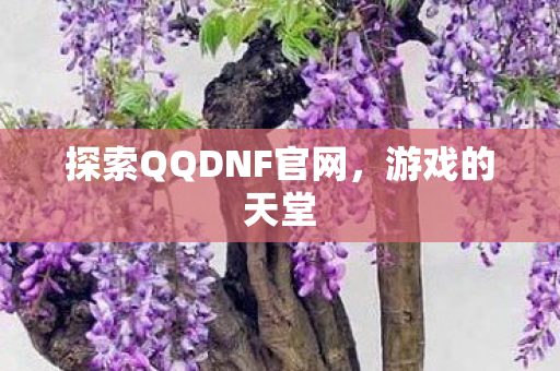 探索QQDNF官网图片
