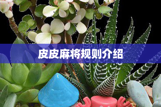皮皮麻将规则介绍图片