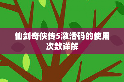 仙剑奇侠传5激活码的使用次数详解图片