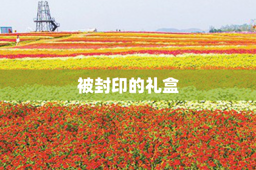 被封印的礼盒图片