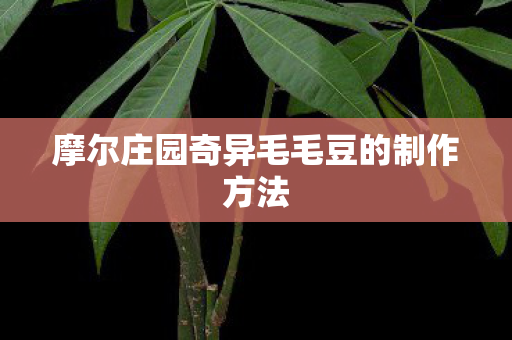 摩尔庄园奇异毛毛豆的制作方法图片