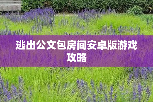 逃出公文包房间安卓版游戏攻略图片
