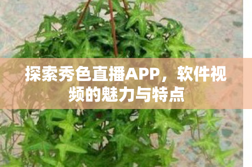 软件视频的魅力与特点图片