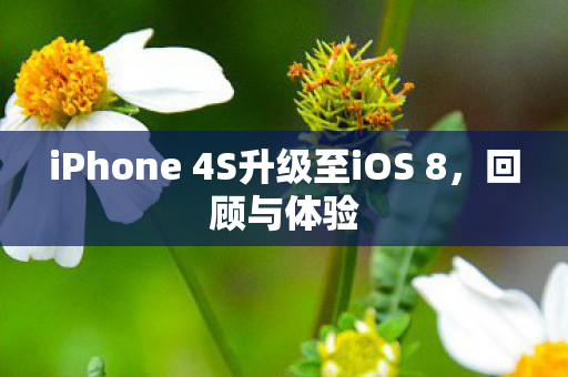 iPhone 4S升级至iOS 8图片