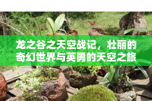 壮丽的奇幻世界与英勇的天空之旅图片