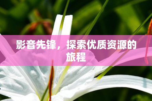 探索优质资源的旅程图片