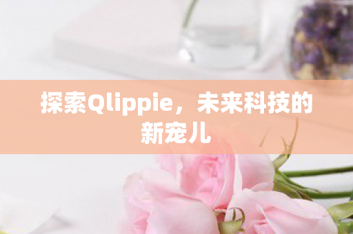 探索Qlippie图片