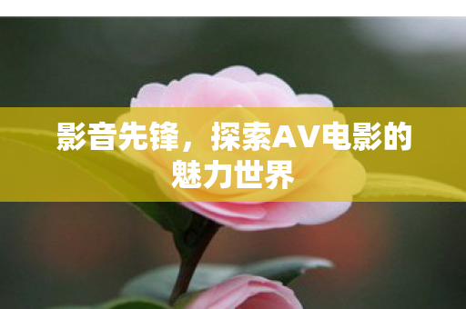 探索AV电影的魅力世界图片