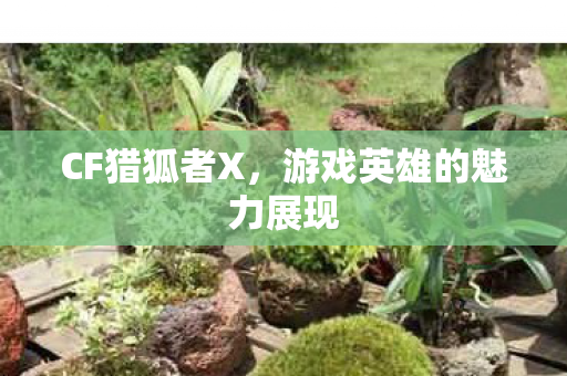 游戏英雄的魅力展现图片