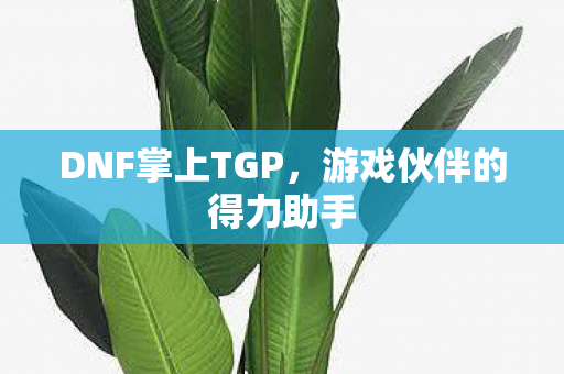 游戏伙伴的得力助手图片