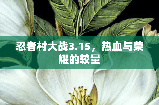 热血与荣耀的较量图片