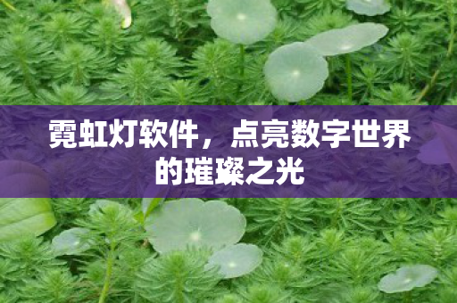 点亮数字世界的璀璨之光图片