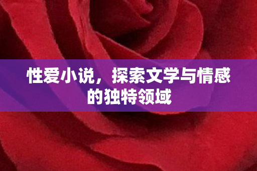 探索文学与情感的独特领域图片
