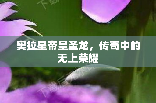 奥拉星帝皇圣龙,传奇中的无上荣耀 奥拉星帝皇圣龙,传奇中的无上荣耀