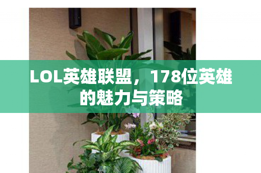 178位英雄的魅力与策略图片
