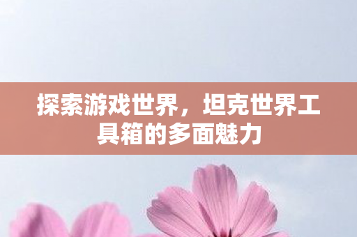 坦克世界工具箱的多面魅力图片
