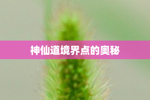 神仙道境界点的奥秘图片