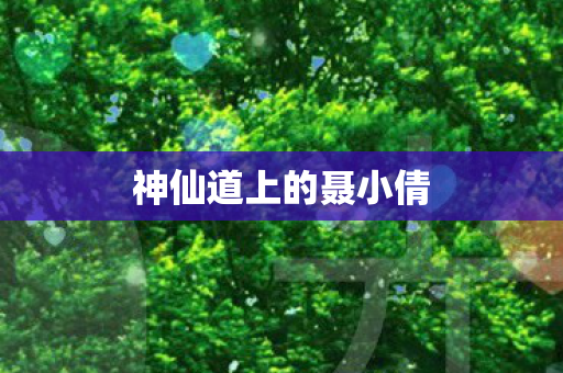 神仙道上的聂小倩图片