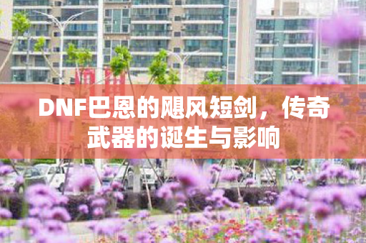 DNF巴恩的飓风短剑图片