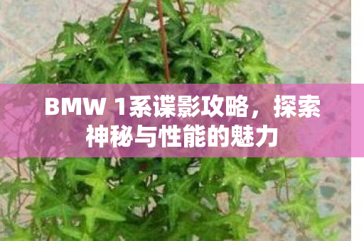 BMW 1系谍影攻略图片