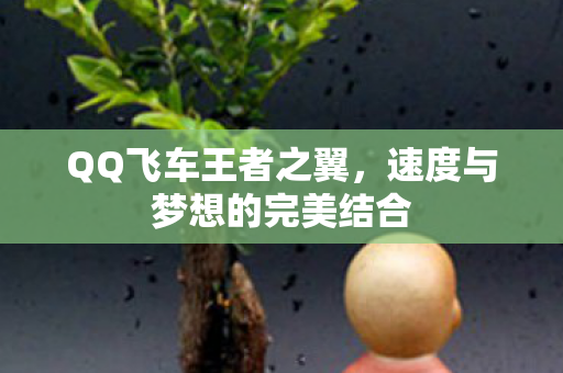 QQ飞车王者之翼,速度与梦想的完美结合 QQ飞车王者之翼,速度与梦想的完美结合