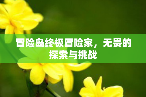 冒险岛终极冒险家图片