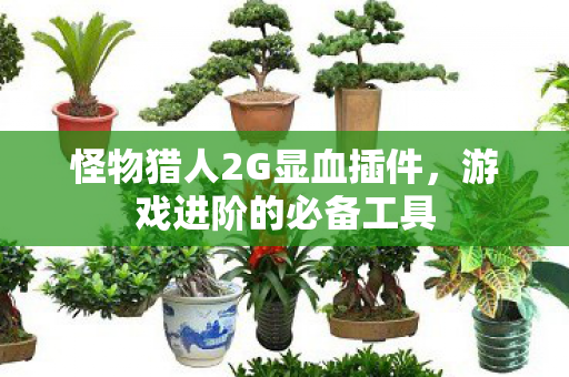 怪物猎人2G显血插件图片