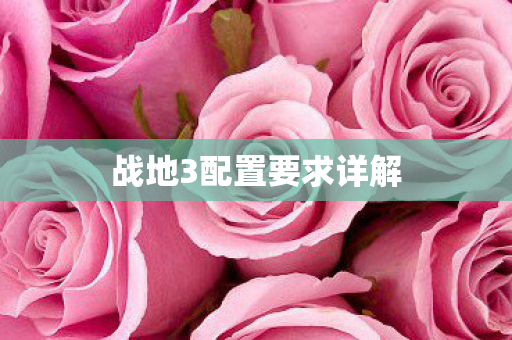 战地3配置要求详解图片