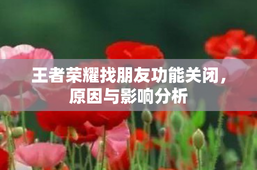 王者荣耀找朋友功能关闭图片