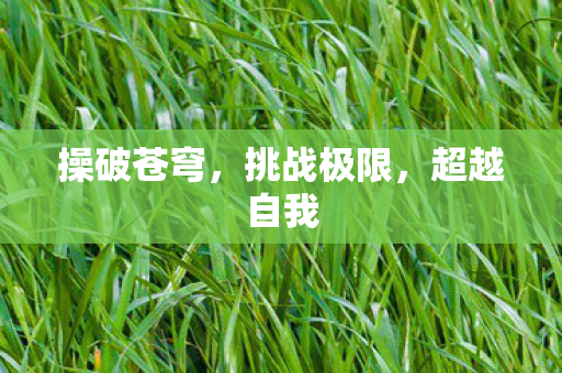 操破苍穹图片