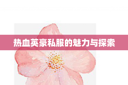 热血英豪私服的魅力与探索图片