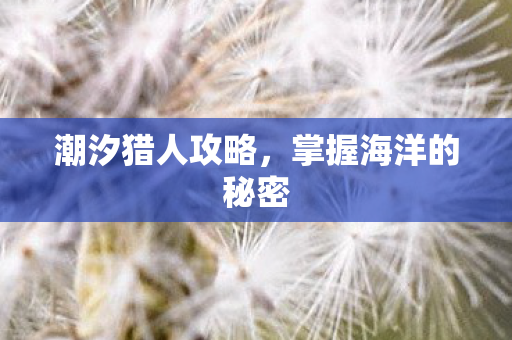 掌握海洋的秘密图片