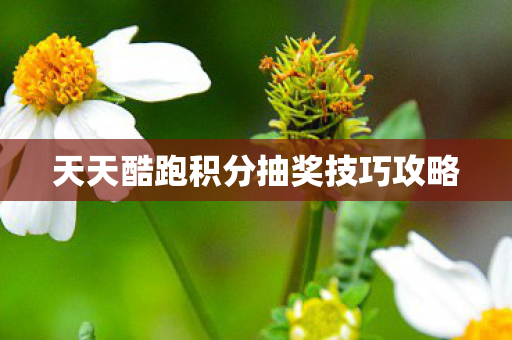 天天酷跑积分抽奖技巧攻略 天天酷跑积分抽奖技巧攻略