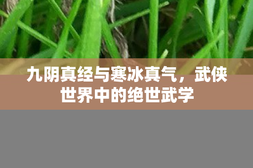 武侠世界中的绝世武学图片