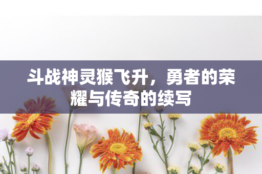 勇者的荣耀与传奇的续写图片