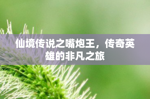 传奇英雄的非凡之旅图片