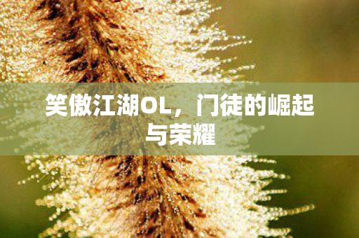 门徒的崛起与荣耀图片