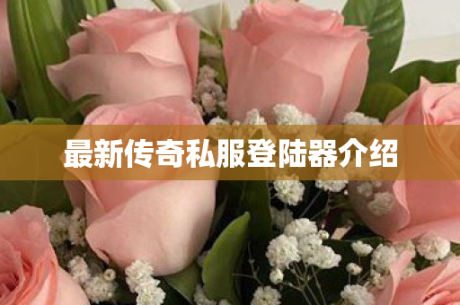 最新传奇私服登陆器介绍图片