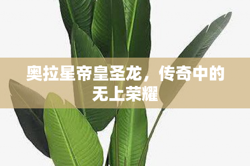 传奇中的无上荣耀图片