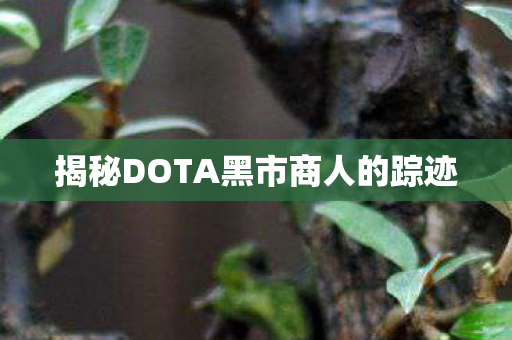 揭秘DOTA黑市商人的踪迹图片