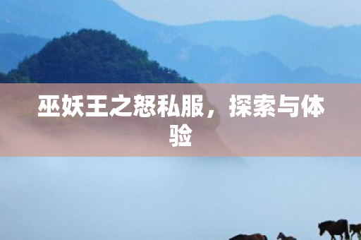 巫妖王之怒私服图片