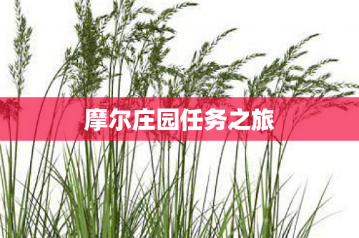 摩尔庄园任务之旅图片