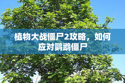 植物大战僵尸2攻略图片