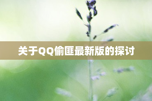关于QQ偷匪最新版的探讨图片