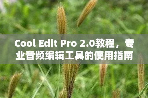 Cool Edit Pro 2图片