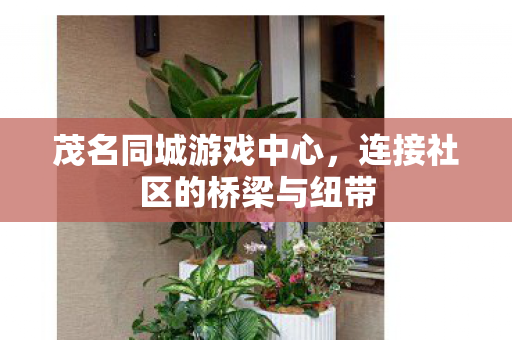 连接社区的桥梁与纽带图片