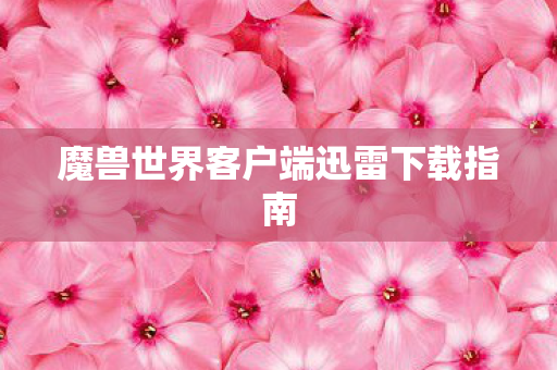魔兽世界客户端迅雷下载指南图片