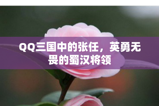 英勇无畏的蜀汉将领图片